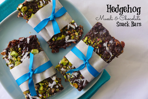 Hedgehog Muesli & Chocolate Snack Bars - Nibbles and Feasts