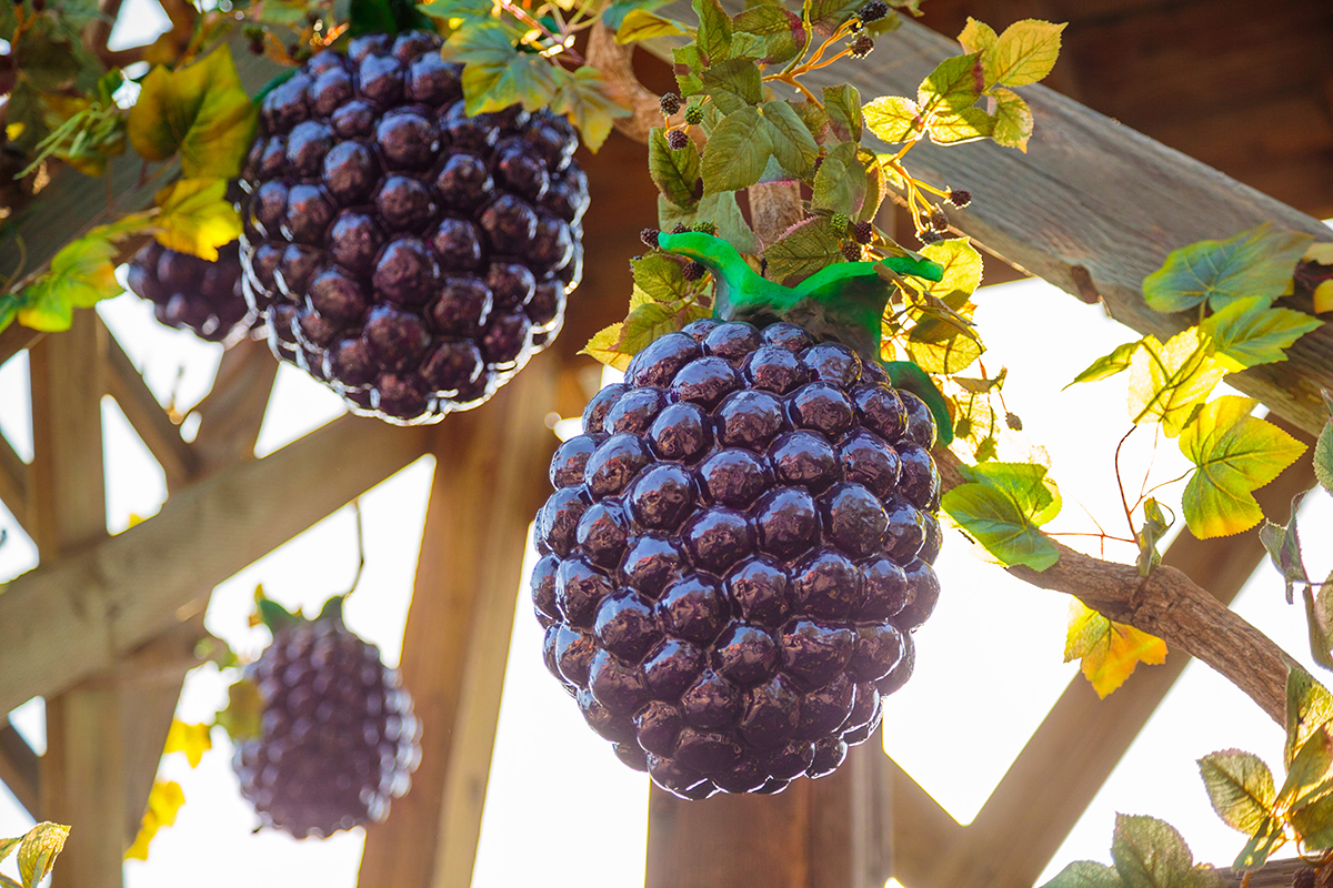 Boysenberry Festival at Knott's Berry Farm Nibbles and Feasts