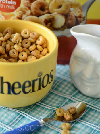 Protein Cheerios