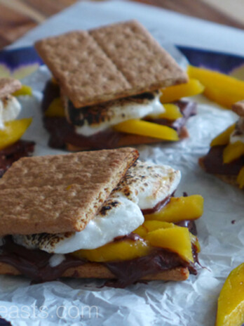 Mango S'mores