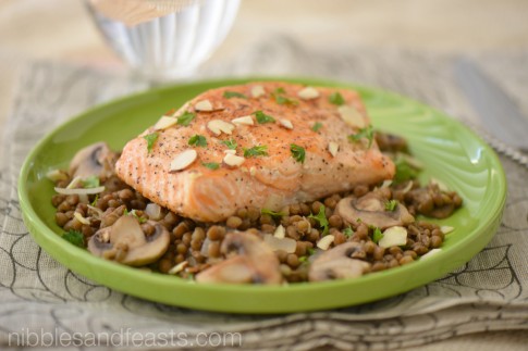 Pan Fried Salmon on a Bed of Lentils - Nibbles and Feasts