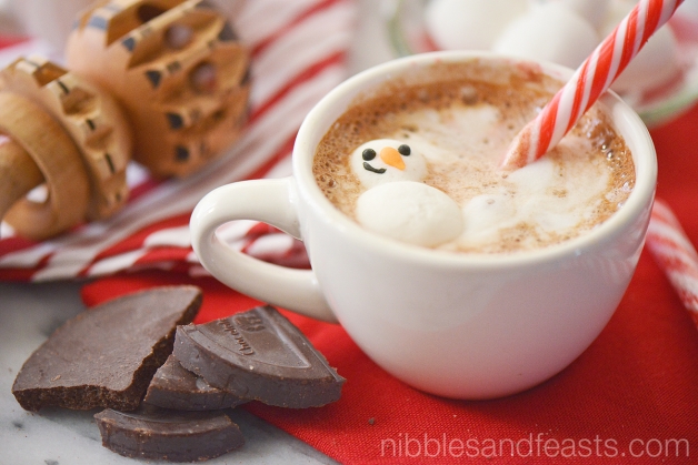 Peppermint Mexican Mocha » Nibbles and Feasts