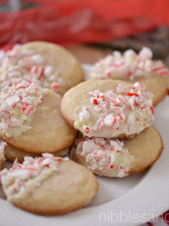 Peppermint Eggnog Cookies