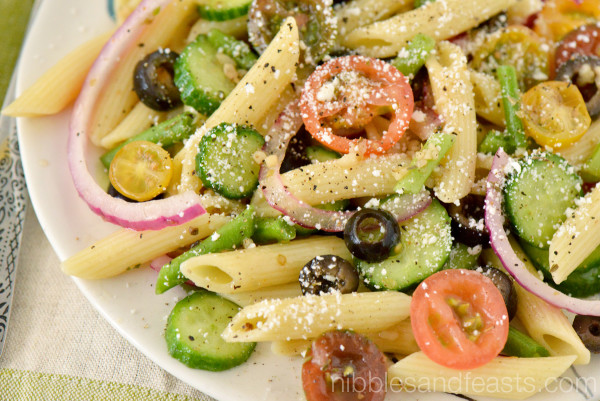 Vinaigrette Pasta Salad - Nibbles and Feasts