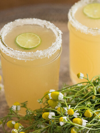 Chamomile Margarita