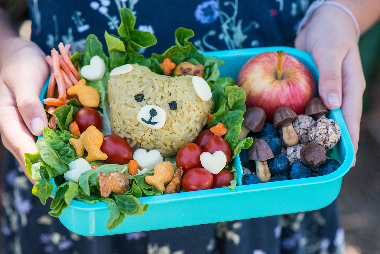 Brown Bear Bento Snack Box Recipe with Rainbow Fruit Salad