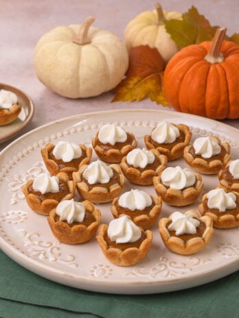 Mini Pumpkin Pies
